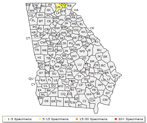 The Georgia range of Sambucus racemosa